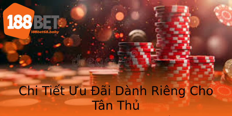 Chi Tiết Ưu Đãi Dành Riêng Cho Tân Thủ Chi Tiết Ưu Đãi Dành Riêng Cho Tân Thủ