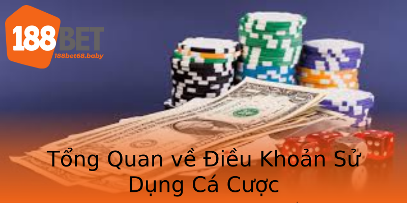 Tổng Quan về Điều Khoản Sử Dụng Cá Cược Tổng Quan về Điều Khoản Sử Dụng Cá Cược